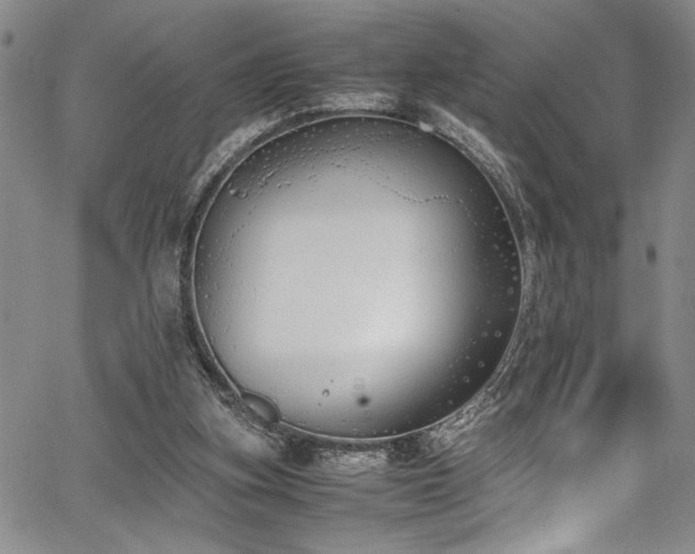 X0000067950155200604131444