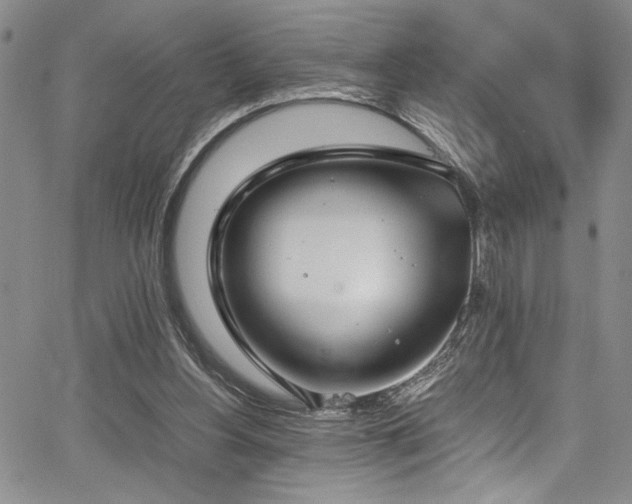 X0000067950156200604131444