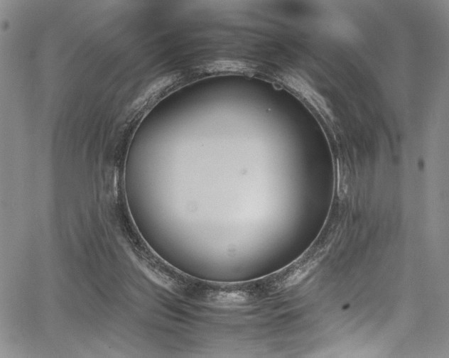 X0000067950157200604131444