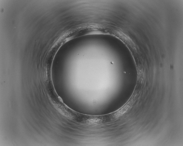 X0000067950158200604131444