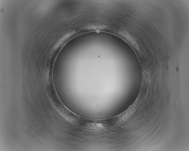 X0000067950159200604131444