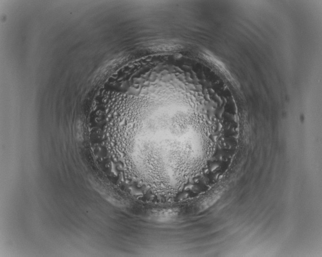 X0000067950161200604131444