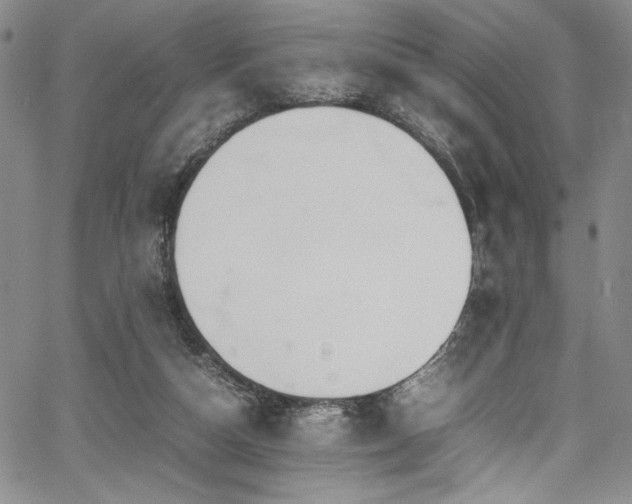 X0000067950162200604131444