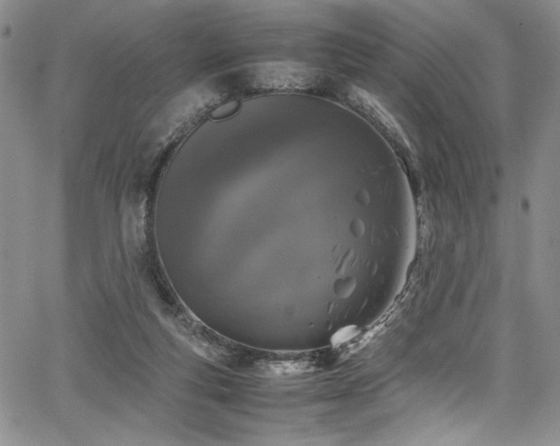 X0000067950163200604131444