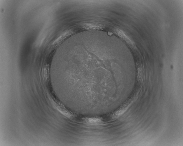 X0000067950165200604131444