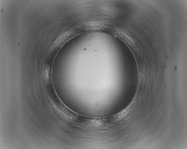 X0000067950166200604131444