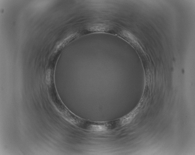 X0000067950167200604131444