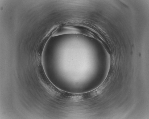 X0000067950168200604131444