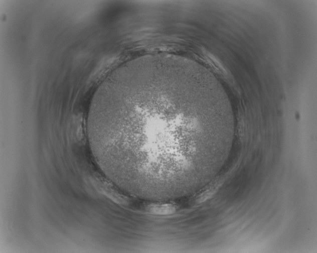 X0000067950169200604131444