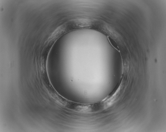 X0000067950170200604131444