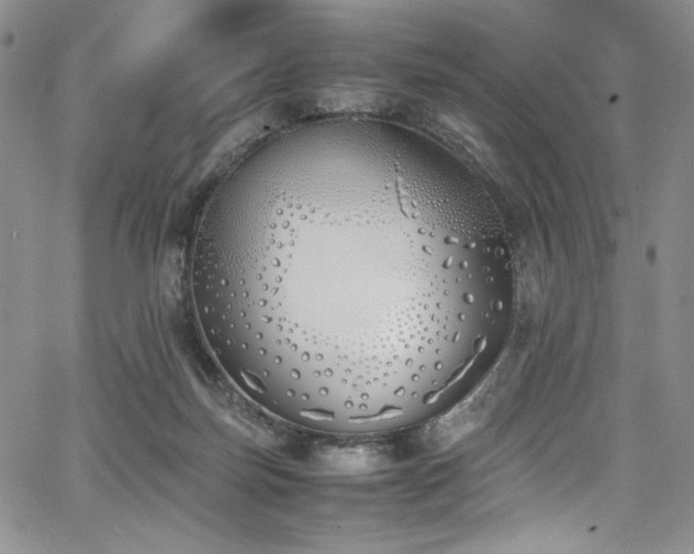 X0000067950171200604131444