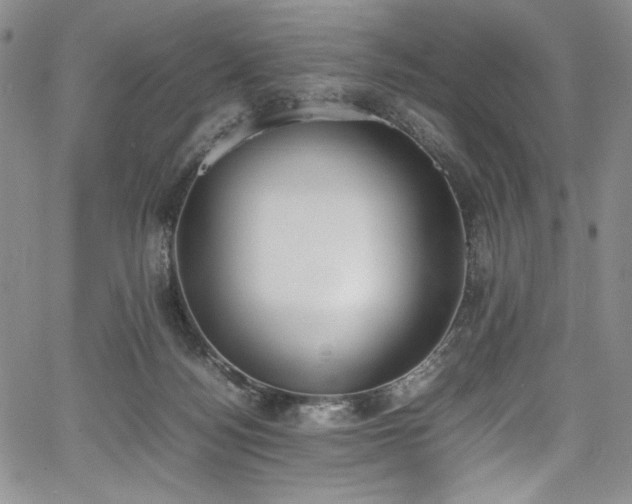 X0000067950172200604131444