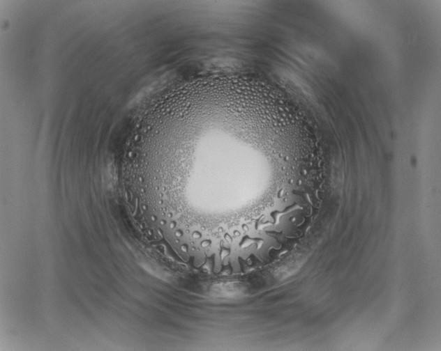 X0000067950173200604131444