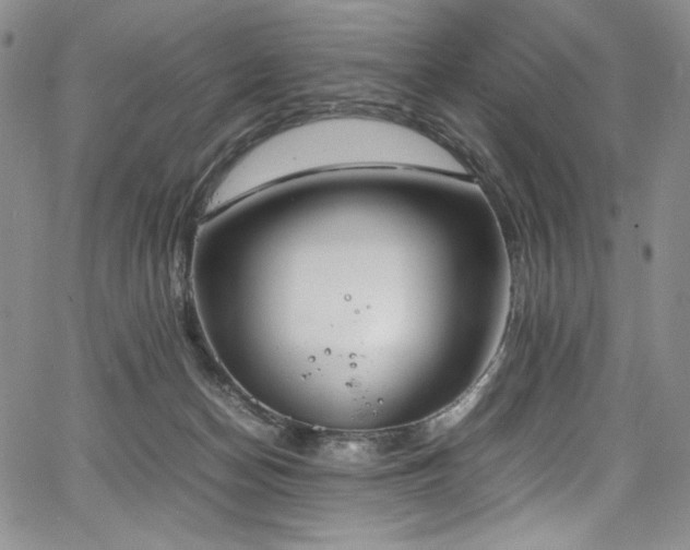 X0000067950174200604131444