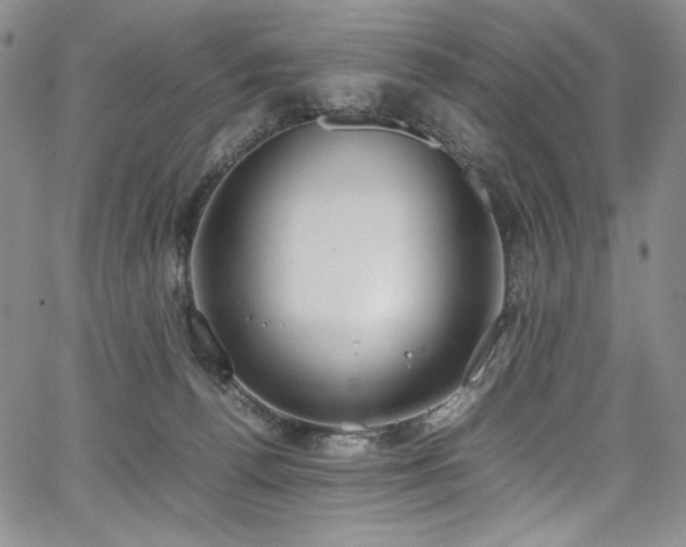 X0000067950176200604131444