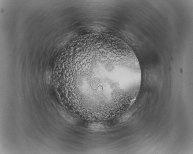 X0000067950177200604131444