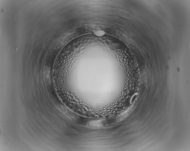 X0000067950178200604131445