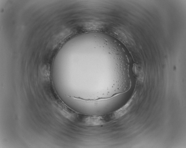 X0000067950179200604131445