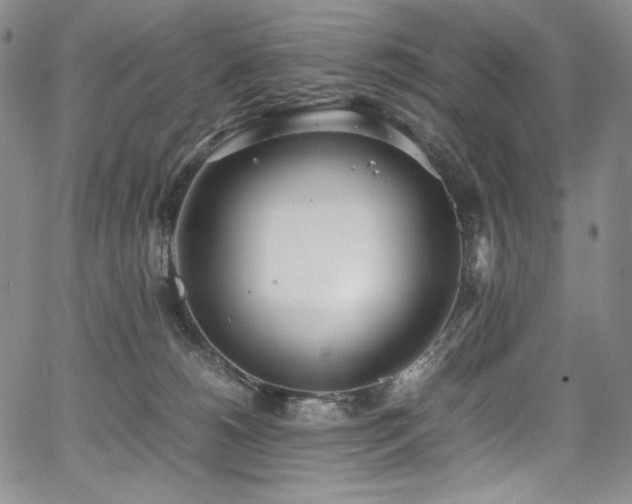 X0000067950180200604131445