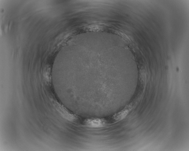 X0000067950181200604131445