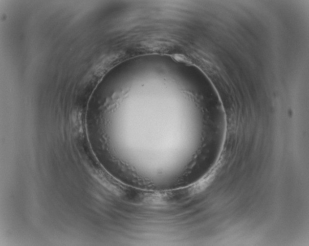 X0000067950182200604131445