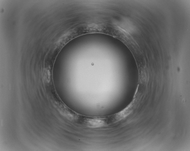 X0000067950183200604131445