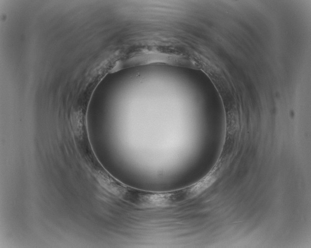 X0000067950184200604131445