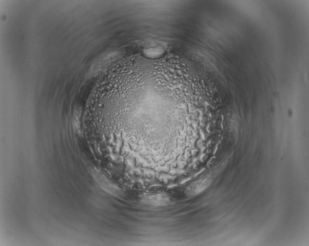 X0000067950185200604131445