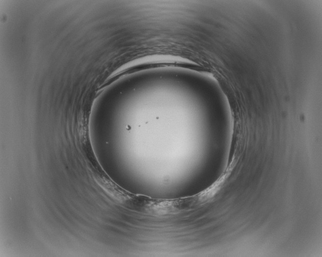 X0000067950186200604131445