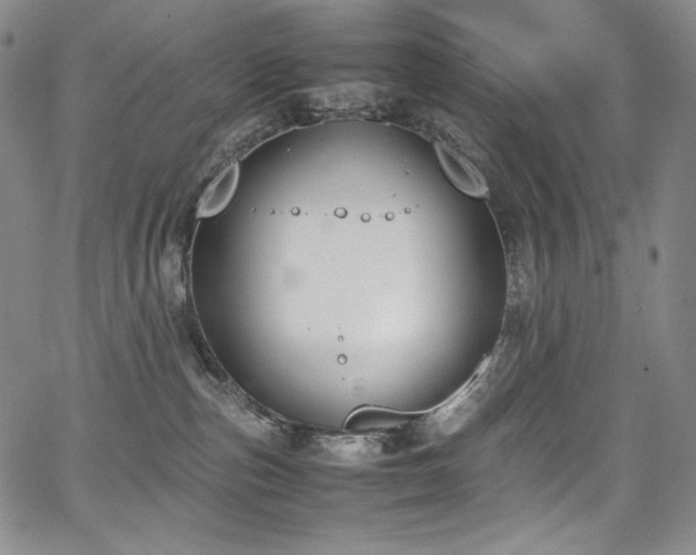 X0000067950187200604131445