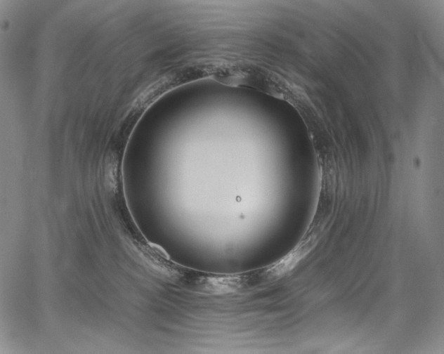 X0000067950188200604131445