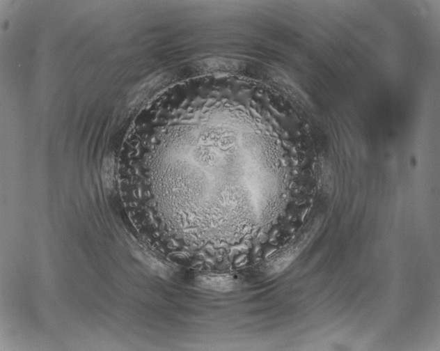 X0000067950189200604131445