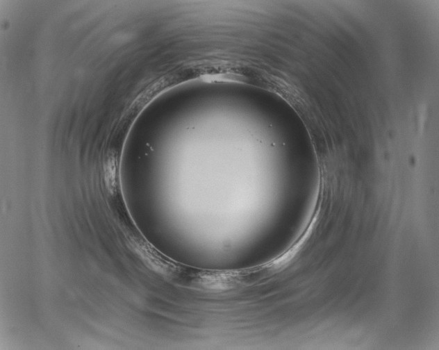 X0000067950190200604131445