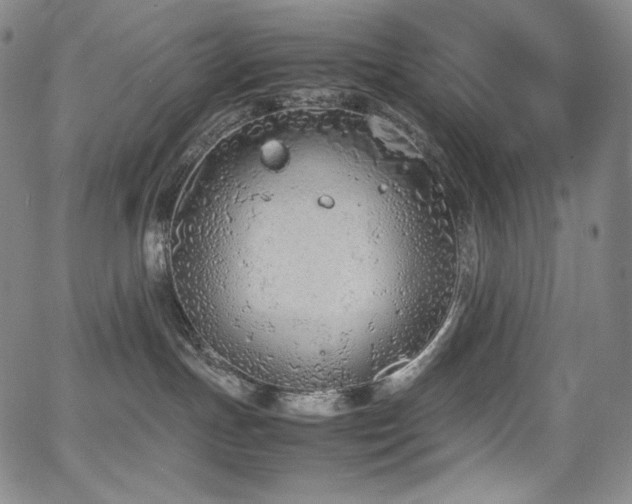 X0000067950191200604131445