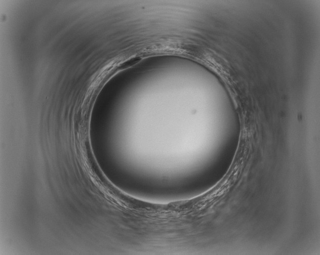 X0000067950193200604131444