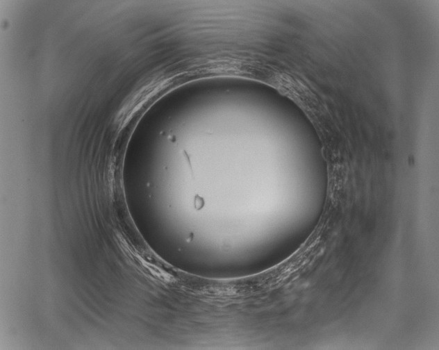 X0000067950194200604131444