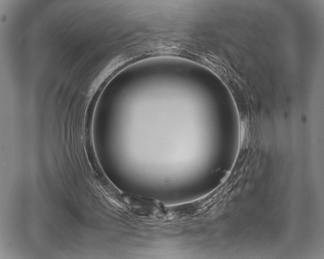 X0000067950195200604131444