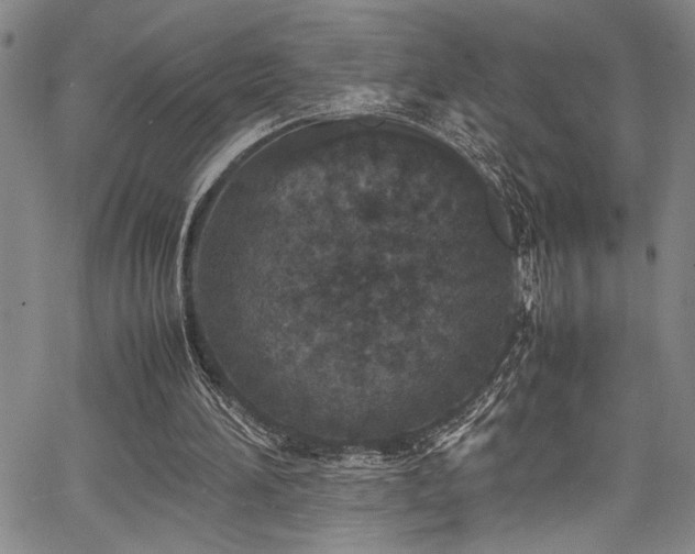 X0000067950196200604131444