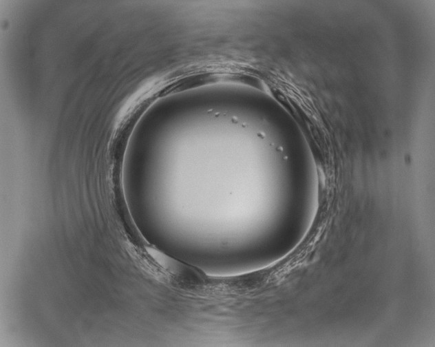 X0000067950197200604131444