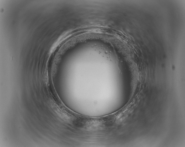 X0000067950198200604131444