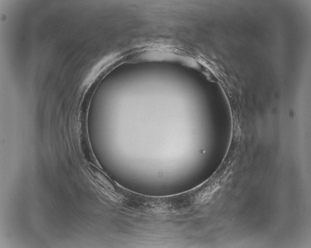 X0000067950199200604131444