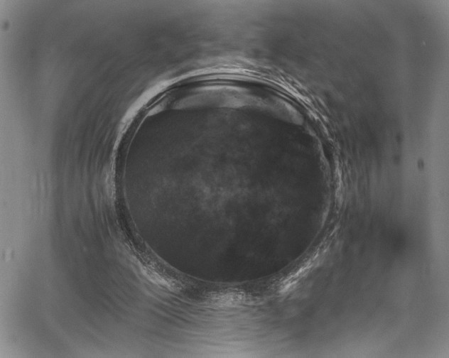 X0000067950200200604131444