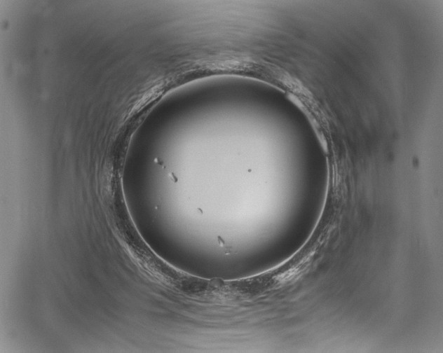 X0000067950201200604131444