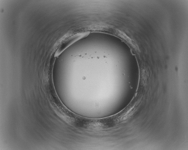 X0000067950203200604131444