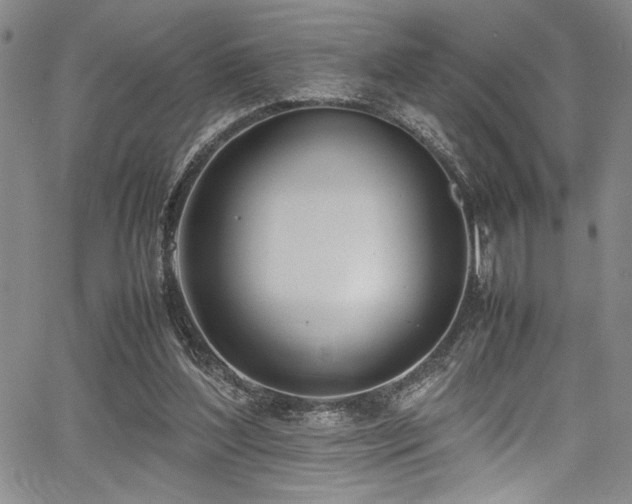 X0000067950204200604131444