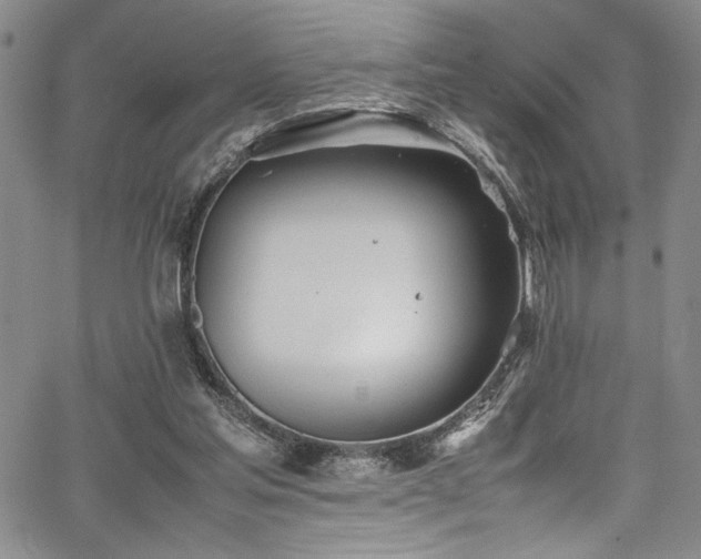 X0000067950205200604131444