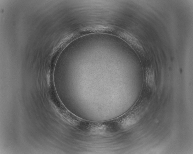 X0000067950206200604131444