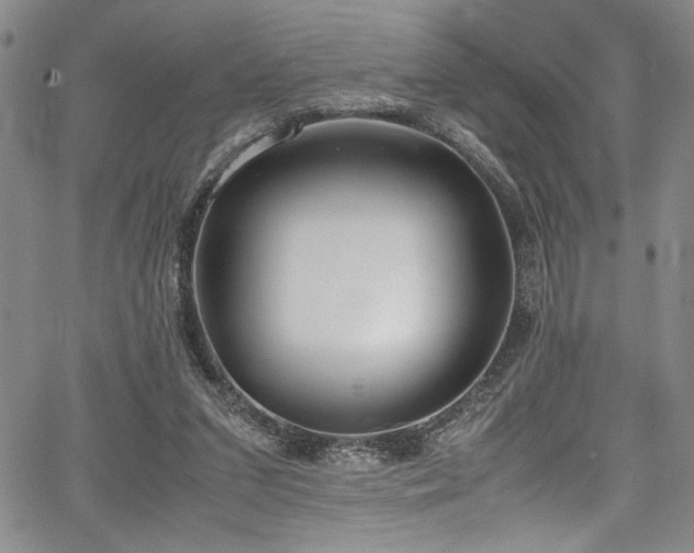 X0000067950207200604131444