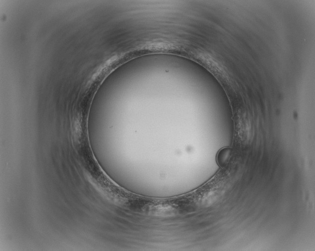 X0000067950208200604131444