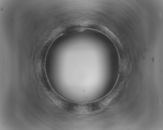 X0000067950209200604131444